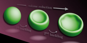 Cover of Eur. Phys. J. E 37 (2014)