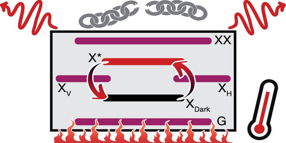 Grafical Representation of the heating of a quantum dot resulting in a loss of entanglement