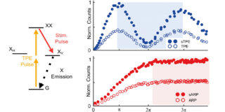 Left: A sketch of a quantum system containing levels marked by black vertial lines connected by orange and red arrows. Right: Experimental data showing on oscillating curve with blue dots and a saturating behaviour with red dots