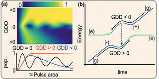 Simulations of the quantum dot dynamics under chirped excitation