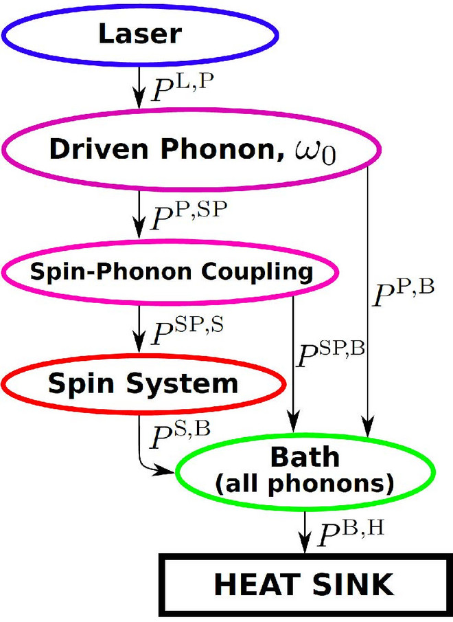 Pulication Figure for "Non-equiibrium physics" illustrating the energy flow in a spin-phonon-coupled system driven by a laser field.