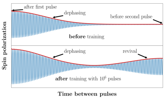 This image shows the time evolution of electronic spin polarization. Each pulse generates a finite polarization, which oscillates strongly because the electron spin precesses about the applied magnetic field. Due to the interaction with the disordered nuclear spin bath, the signal quickly dephases (upper panel). After a long sequence of pulses, the nuclear spin bath is trained and a coherent revival of the signal occurs.