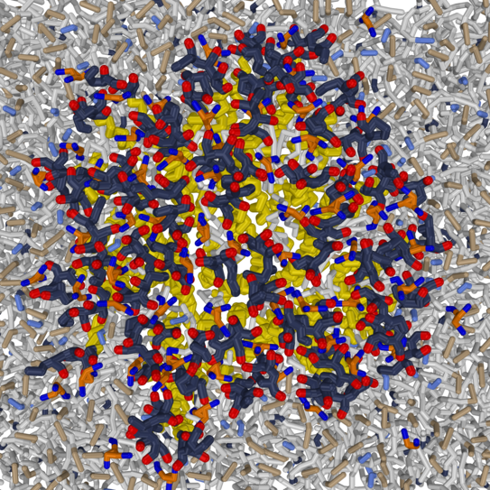 Illustration for section Latteral organisation of membranes