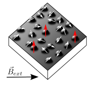 Schematic illustration of spins on a sample