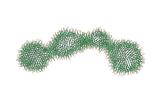 Illustration for section Morphologies of (bioinspired) surfactant assemblies