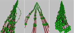 Monte Carlo snapshots of bundles with 20 filaments from the paper Phys. Rev. Lett. 95, 038102 (2005)