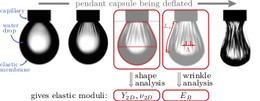 Figure from the paper Langmuir 29, 12463 (2013) concerning the elastometry of deflated capsules