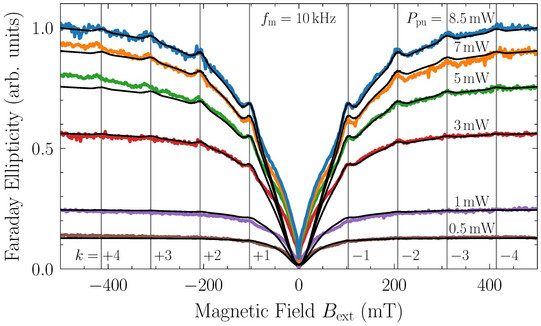 Pulication Figure for "Coherence and coherent control" demonstrating resonant spin amplification in Faraday geometry.